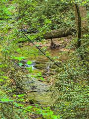 00 Cavender Creek Road, Dahlonega, GA 30533