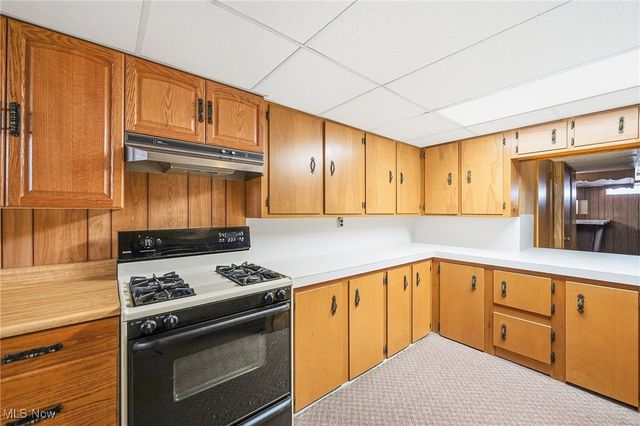 591 Breetz Drive, Campbell, OH 44505