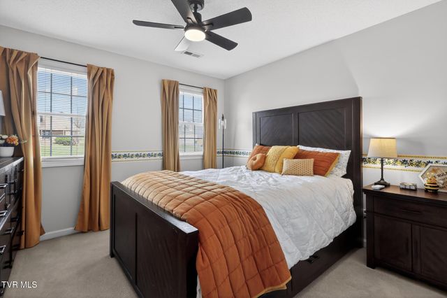 105 Meadow Court, Gray, TN 37615