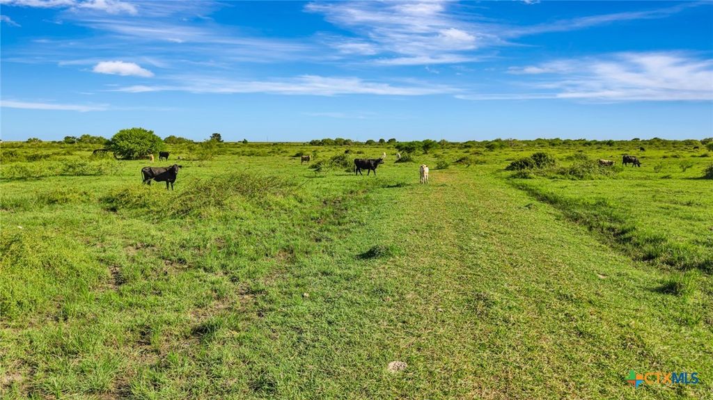 Image 10 of property listing at 000 Sunray Road, Victoria, TX 77905