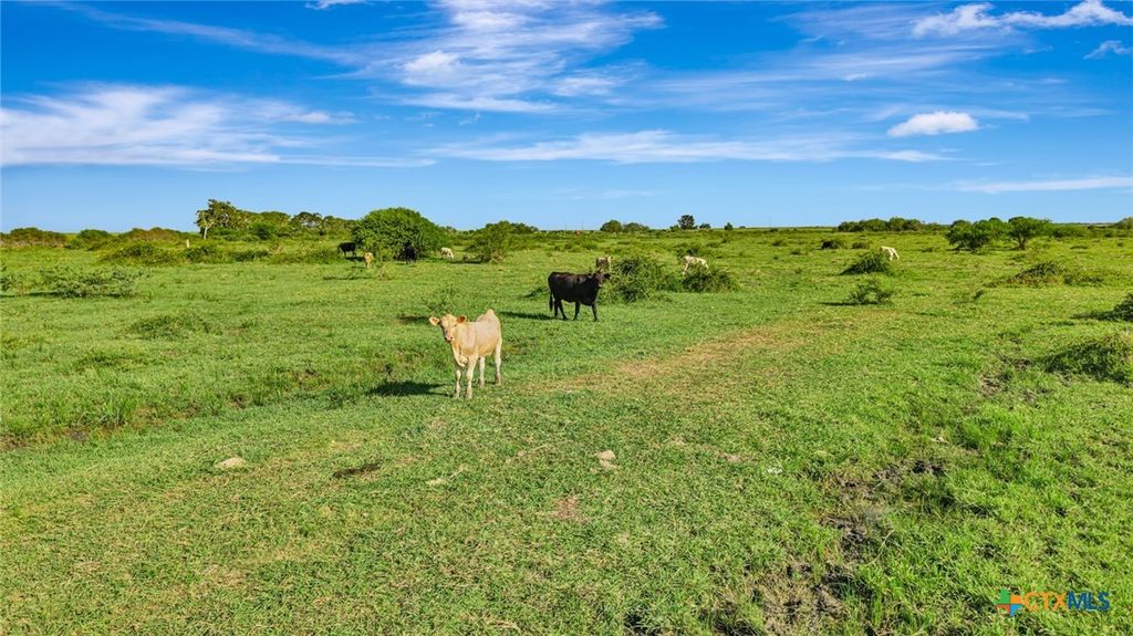 Image 11 of property listing at 000 Sunray Road, Victoria, TX 77905