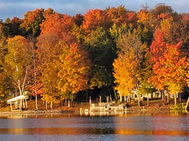 9770 Cheyenne Trail, Evart, MI 49631