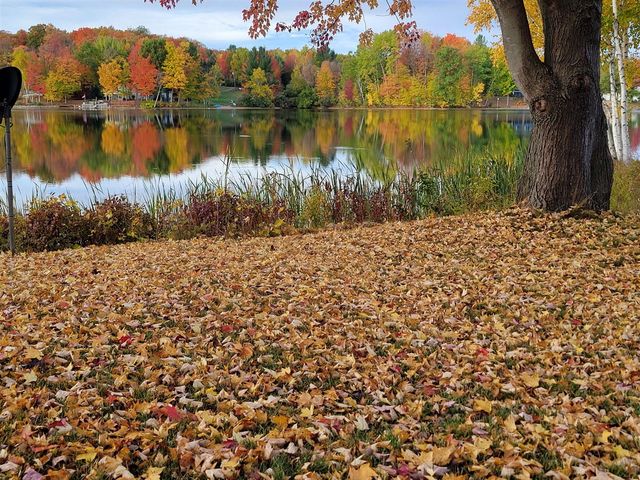 9770 Cheyenne Trail, Evart, MI 49631