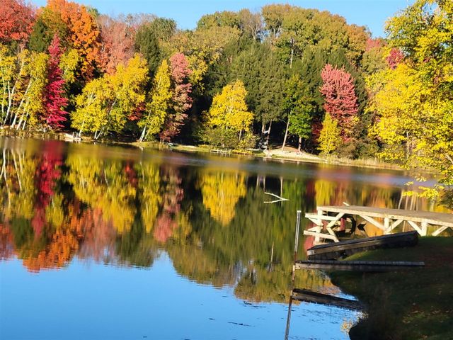 9770 Cheyenne Trail, Evart, MI 49631