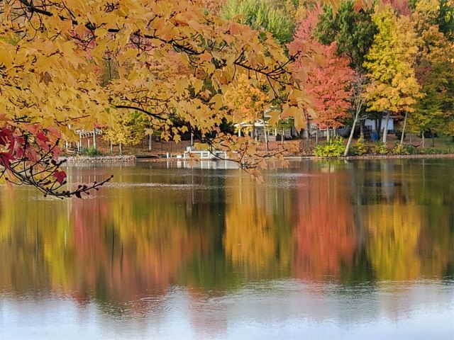 9770 Cheyenne Trail, Evart, MI 49631