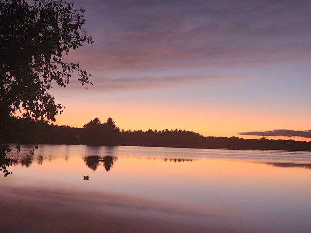 9770 Cheyenne Trail, Evart, MI 49631