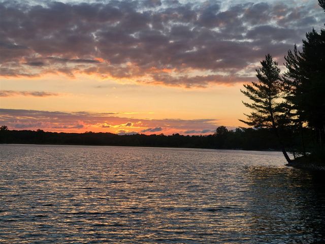 9770 Cheyenne Trail, Evart, MI 49631