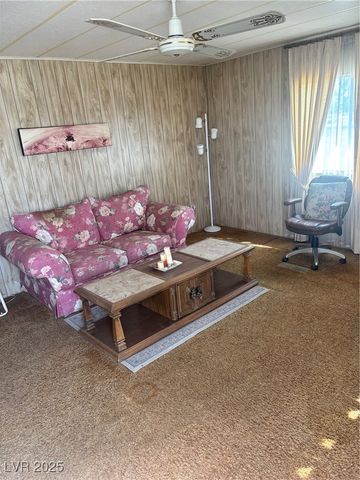 3030 West Basin Avenue, Pahrump, NV 89060