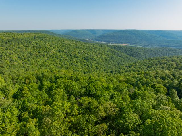 0 Jackson Point Road Lots 3 & 4, Sewanee, TN 37375