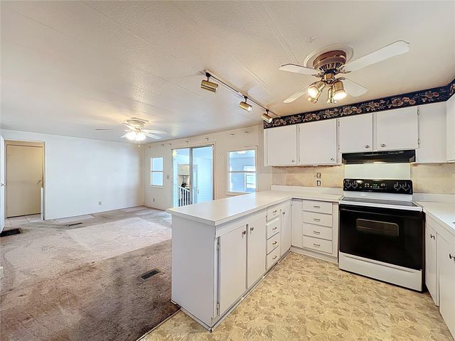 13338 ORANGE BLOSSOM STREET, Astatula, FL 34705