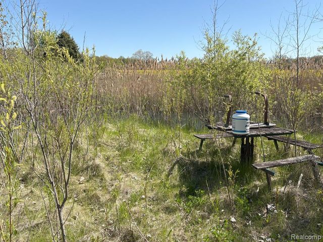 8327 Duffield Road, Gaines, MI 48436