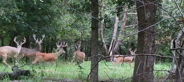 3125 N Wild Mountain Road, Tulsa, OK 74127