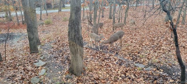 3125 N Wild Mountain Road, Tulsa, OK 74127