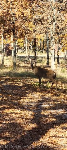 3125 N Wild Mountain Road, Tulsa, OK 74127