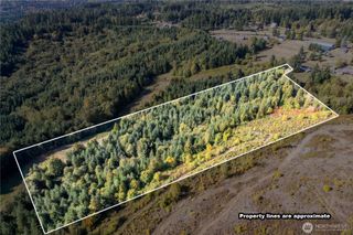 0 Lot 7 Spirit Lake Parcel WK3612009 Highway, Castle Rock, WA 98611