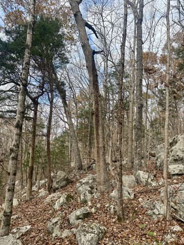 2047 Laurelburg rd, Rock Island, TN 38581
