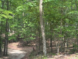 0 W Watts Road, Ringgold, GA 30736