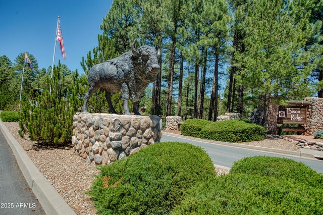 4660 West Tatanka Loop --, Show Low, AZ 85901