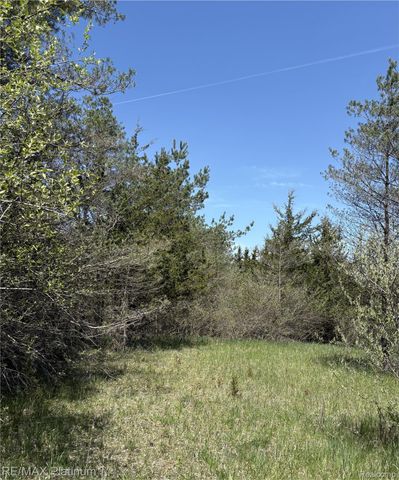 Parcel 3 Pineway Trail, Howell Township, MI 48855