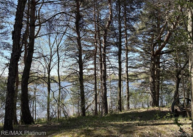 Parcel 3 Pineway Trail, Howell Township, MI 48855