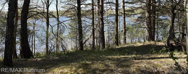 Parcel 3 Pineway Trail, Howell Township, MI 48855