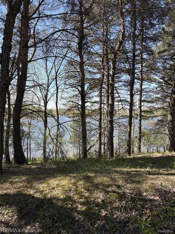 Parcel 3 Pineway Trail, Howell Township, MI 48855