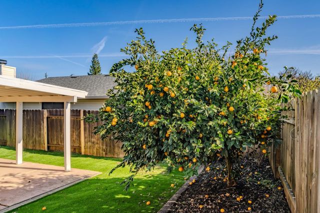 152 Springcreek Dr, Ione, CA 95640