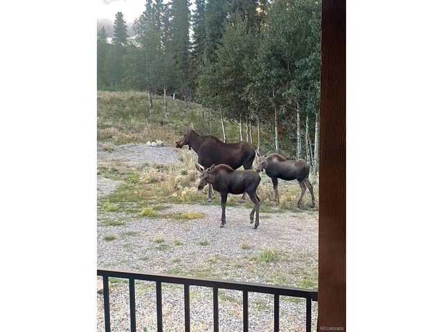 662 Cr-1, Fairplay, CO 80440