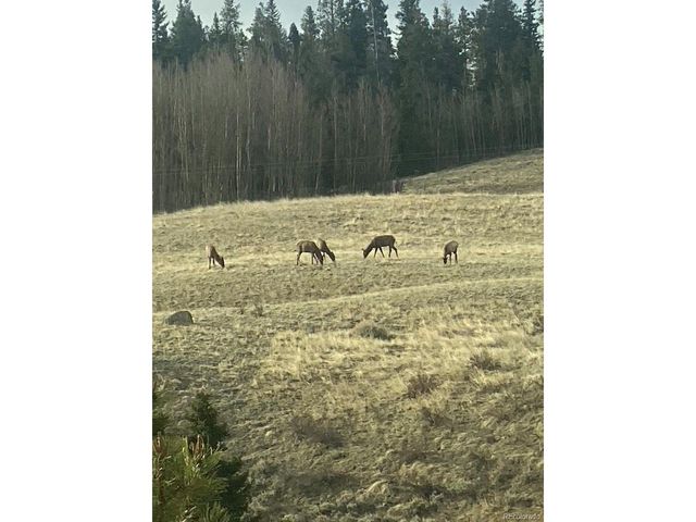 662 Cr-1, Fairplay, CO 80440