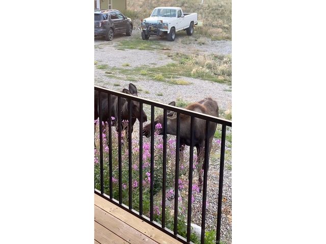 662 Cr-1, Fairplay, CO 80440