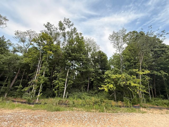 9894 Cassia Drive, Carmel, IN 46290