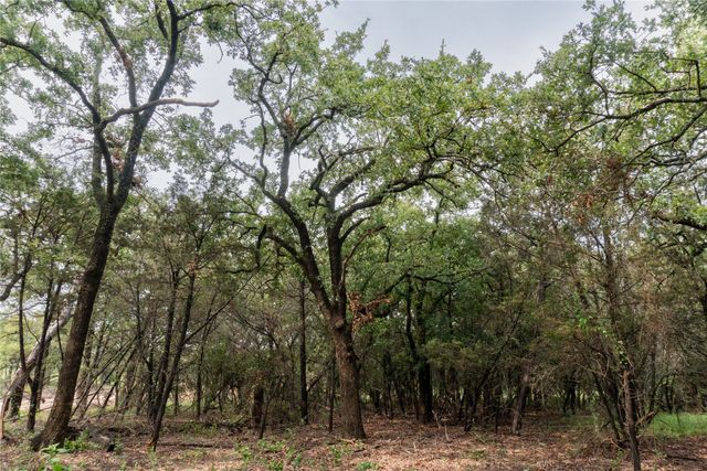 4750 Coleman Ranch Road, Tolar, TX 76476