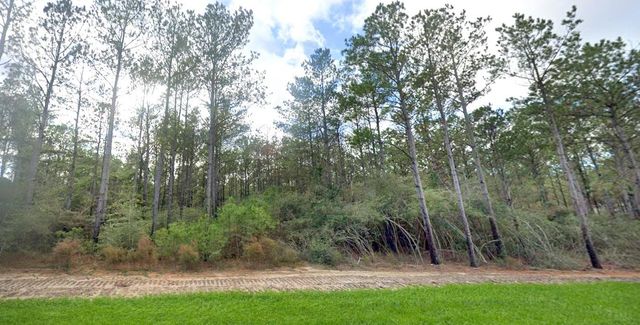 15609 Ridge Rock Road, Willis, TX 77378