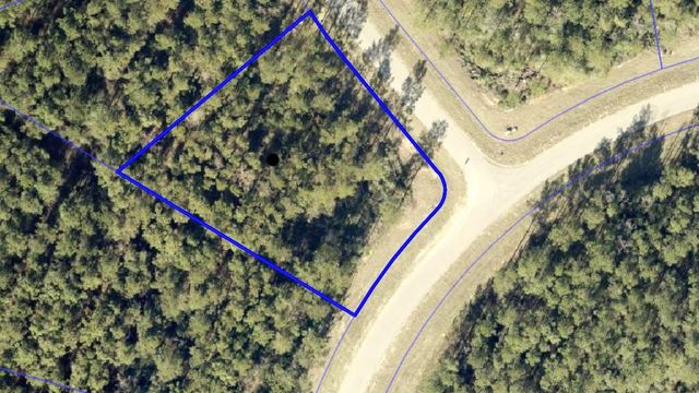 15609 Ridge Rock Road, Willis, TX 77378