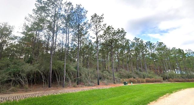 15609 Ridge Rock Road, Willis, TX 77378