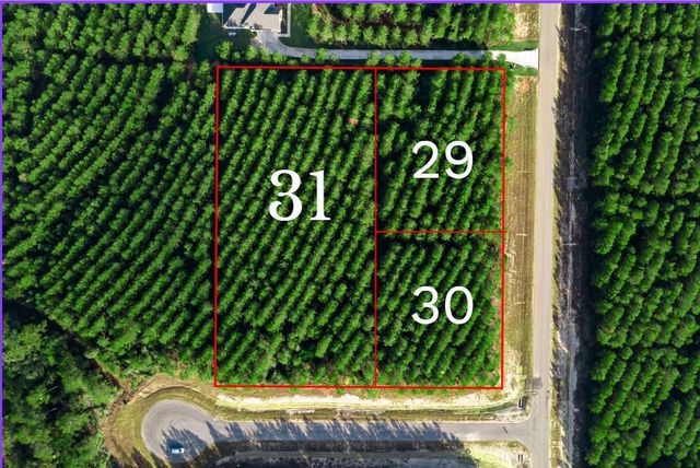 16326 Ridge Oak Road, Willis, TX 77378