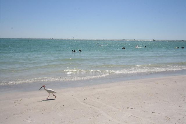 514 BRANDON AVENUE, Clearwater, FL 33765