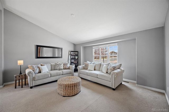 6605 Barrel Race Drive, Colorado Springs, CO 80923