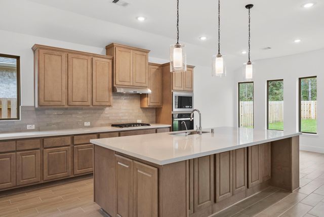 1788 Howler Way, Todd Mission, TX 77316