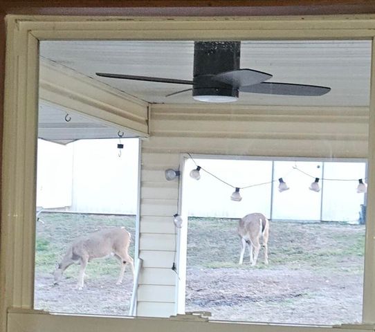 16033 Lawrence 2050, Miller, MO 65707