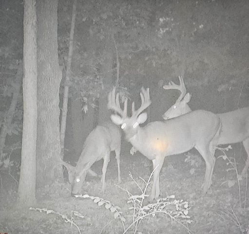 16033 Lawrence 2050, Miller, MO 65707