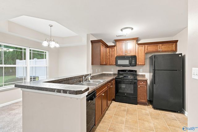 204 Falling Water Lane, Madison, AL 35756
