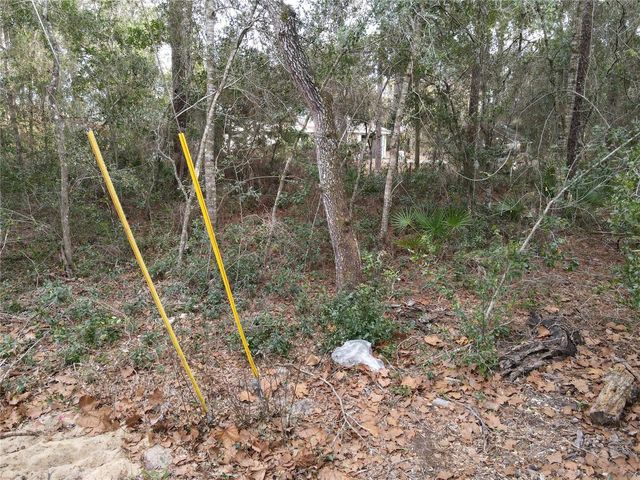 W SEVENTH AVENUE, Umatilla, FL 32784