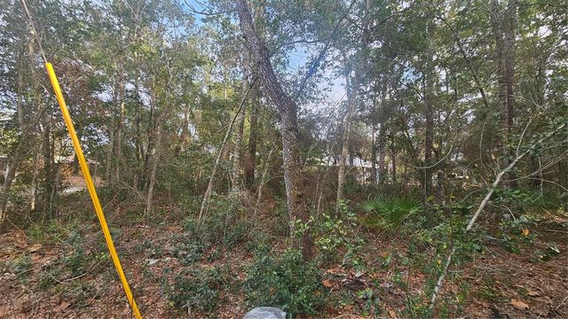 W SEVENTH AVENUE, Umatilla, FL 32784
