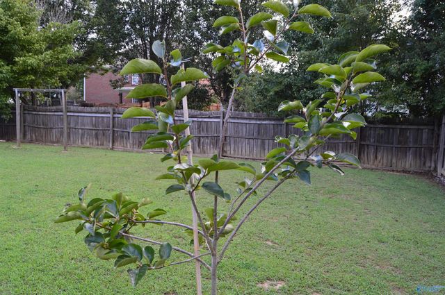 608 Wade Road SE, Owens Cross Roads, AL 35763