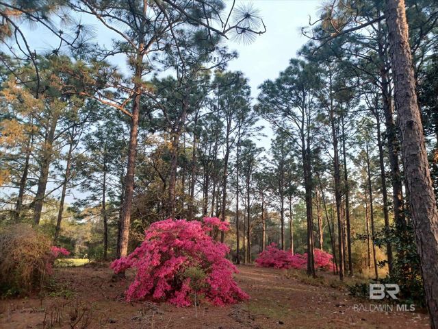 7650 Iron Rush Road, Wilmer, AL 36587