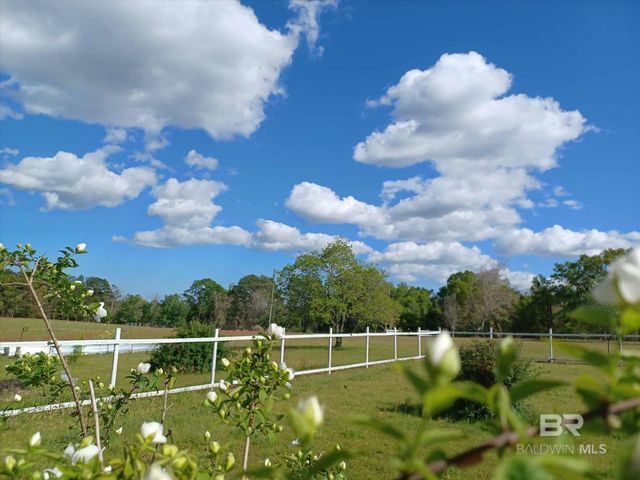 7650 Iron Rush Road, Wilmer, AL 36587