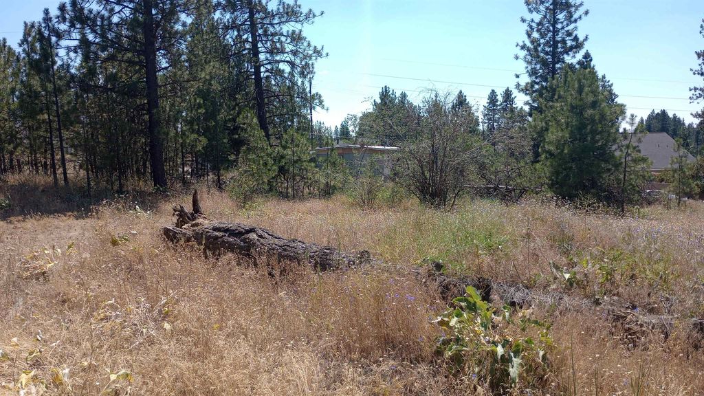 XX W 28th Ave, Spokane, WA 99224 photo 5