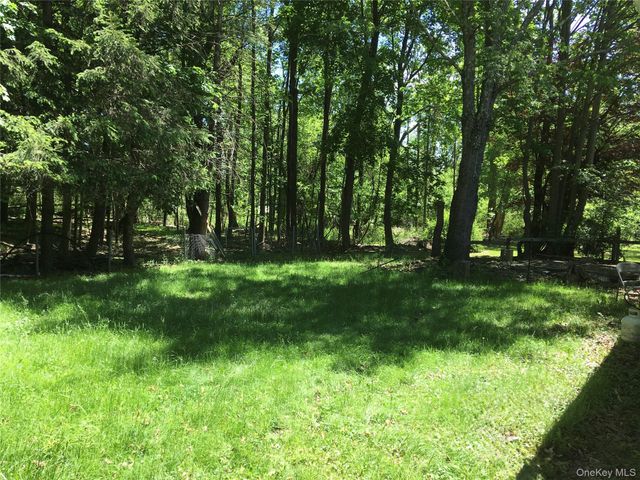 20 Nelshore Drive, Monticello, NY 12701