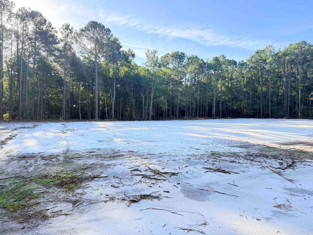Tract C-2 James Bellamy Circle, Little River, SC 29566 — photo 4